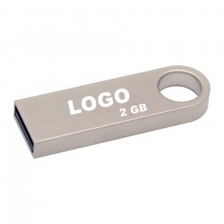 Metallic USB Flash Drive - 2 GB with keychain
